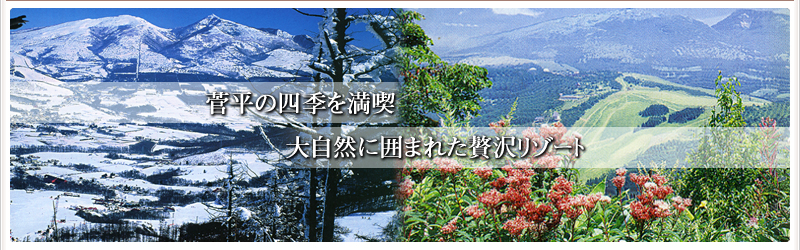 菅平高原