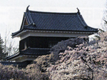 上田城